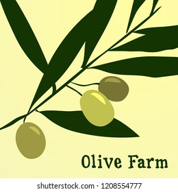 isolated olive branch vector illustration, shades of green, olive farm