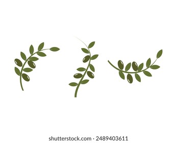 Isolated olive branch vector logo set. Oil collection vector