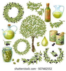 Isolated olive plant branches bottles cans and glass jars fruits leaves symbols on blank background vector illustration 