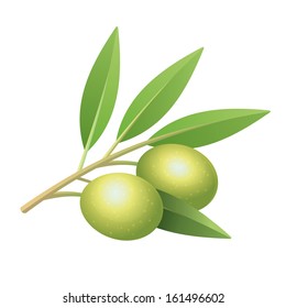 Isolated olive's branch