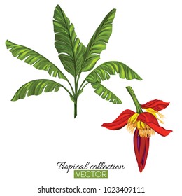  Isolated on white background. Colorful vector illustration without transparent and gradients.
