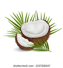 Сoconut isolated on white background. Cracked coconut. Coconut shell. Green coconut leaves