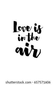 Isolated on white background. Hand drawn modern brush calligraphy. Wild quote. Love is in the air.
