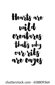 Isolated on white background. Hand drawn modern brush calligraphy. Wild quote. Hearts are wild creatures that's why our ribs are cages.