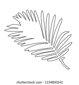 isolated on a white background  outline palm leaf