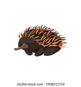 isolated on white background, portrait of wild australian animal vector illustration