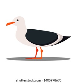 Isolated on white background seagull flat design icon. Cartoon style vector illustration.
