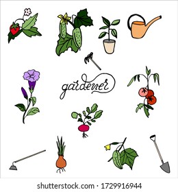 Isolated on white background set gardener- petunia, tomato, cucumber, onions, strawberries, hand-drawing, doodle, vector