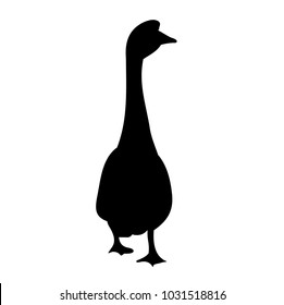 isolated on a white background silhouette of a goose
