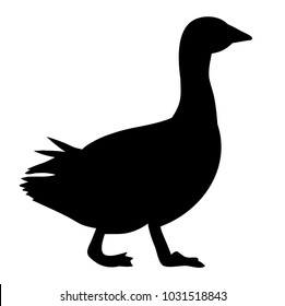 isolated on a white background silhouette duck