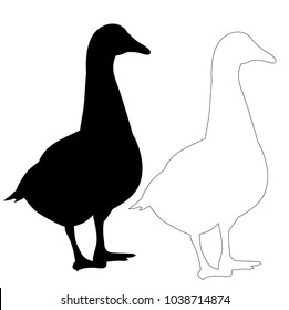  isolated on a white background silhouette goose, duck, bird