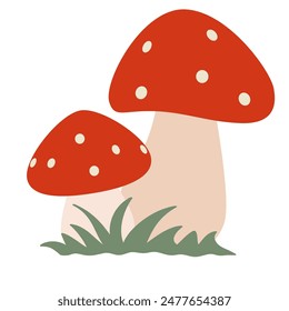 Isolated on a white background two fly agaric mushrooms with green grass. Flat vector illustration.