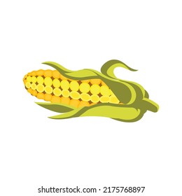 Isolated on a white background, vector flat illustration of corn.