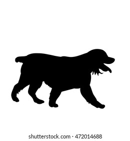 isolated on a white background,the silhouette of a dog ,vector