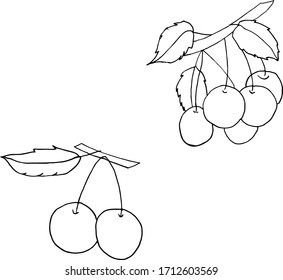 Isolated on white cherry Stock illustration, vector, hand drawing, design element for printing, scrapbooking, postcard