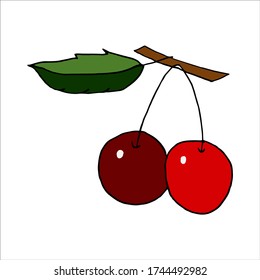 Isolated on white cherry Stock illustration, vector, hand drawing, design element for printing, scrapbooking, postcard