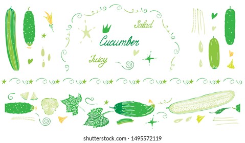 Isolated on white colorful cucumber vector set of seamless brush, lettering and elements with different types of cucumbers, leaves, buds and splashes