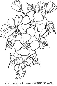 Isolated on white, a hand-drawn little bouquet of flowers and foliage. Tattoo design, coloring sheet, wedding decoration, vectors line art monochrome beautiful floral composition in vintage style