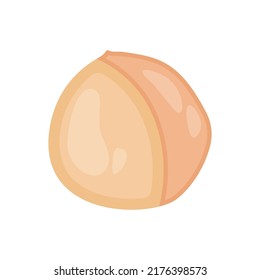 Isolated on white are pine nuts in shell and a vector flat material design.