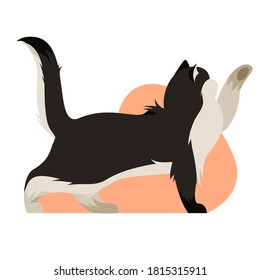 Isolated on white playful cat vector illustration. Funny domestic animal design element. Cute kitty in flat cartoon style.