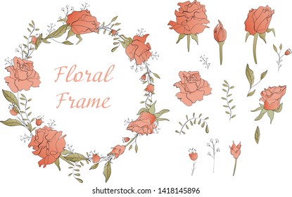 Isolated on white roses. Decor elements and border made of roses and stylized herbs - Vector