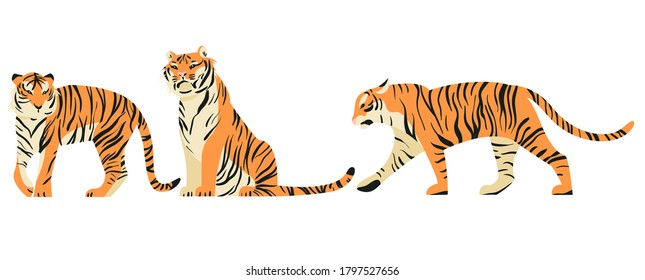 Isolated on white set of tigers in side view vector illustration. Big tropical cats design element collection. African felines in flat cartoon style.