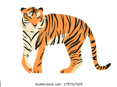 Isolated on white tiger in side view vector illustration. Big tropical cat design element. African feline in flat cartoon style.