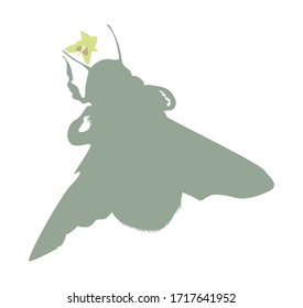 Isolated on white vector bumblebee silhouette