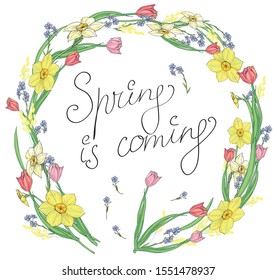  Isolated on white vector illustration - floral circle tangle with narcissus, tulips and forget-me-not flowers and hand written message "Spring is coming"