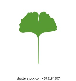 Isolated one color green silhouette of leaf of ginkgo biloba on white background.