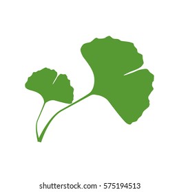 Isolated one color green silhouette of two leaves of ginkgo biloba on white background.