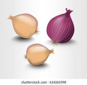 Isolated onion 