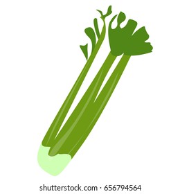 Isolated onion on a white background, Vector illustration