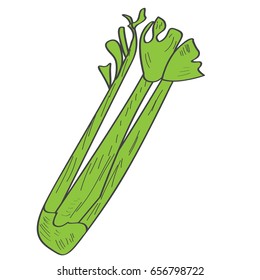 Isolated onion on a white background, Vector illustration