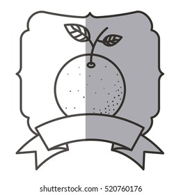 Isolated orange fruit design