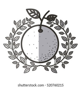 Isolated orange fruit design