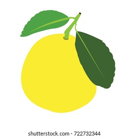 Isolated orange on a white background, Vector illustration