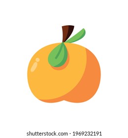 Isolated orange peach fruit icon