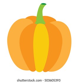 Isolated orange pumpkin, Thanksgiving day vector illustration