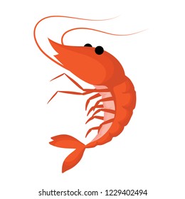 isolated orange shrimp on white background