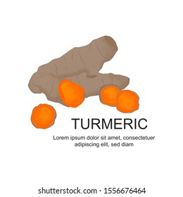 Isolated orange turmeric sliced. Herbal plant, vegetarian meal poster. Vector Illustration