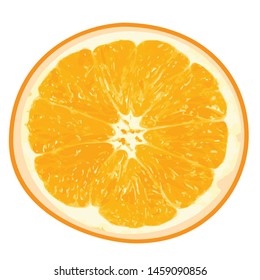 isolated orange vector format, realistic look.