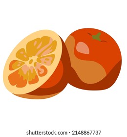 Isolated oranges on a white background. Whole orange and cut. Vitamin C. Food. Fruit. Vector illustration in a flat style.