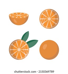 Isolierte Orangen auf weißem Hintergrund. Vektorgrafik