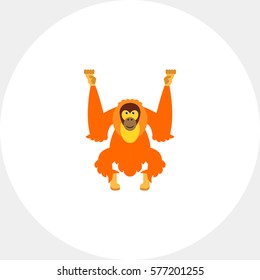 Isolated Orangutan Icon