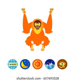 Isolated Orangutan Icon