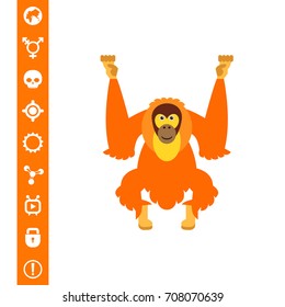 Isolated Orangutan Icon