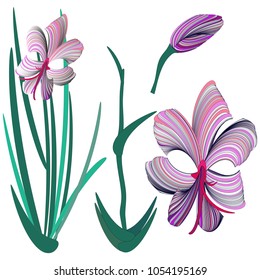 Isolated Orchid pattern on white. Different elements of the plant. Vector illustration for  floral design.