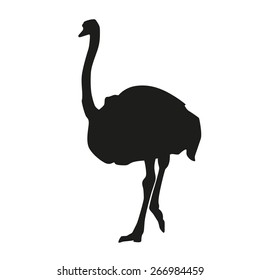 Isolated Ostrich. Vector Silhouette