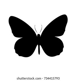 Isolated outline of a butterfly on a white background. Abstract vector pattern of butterflies